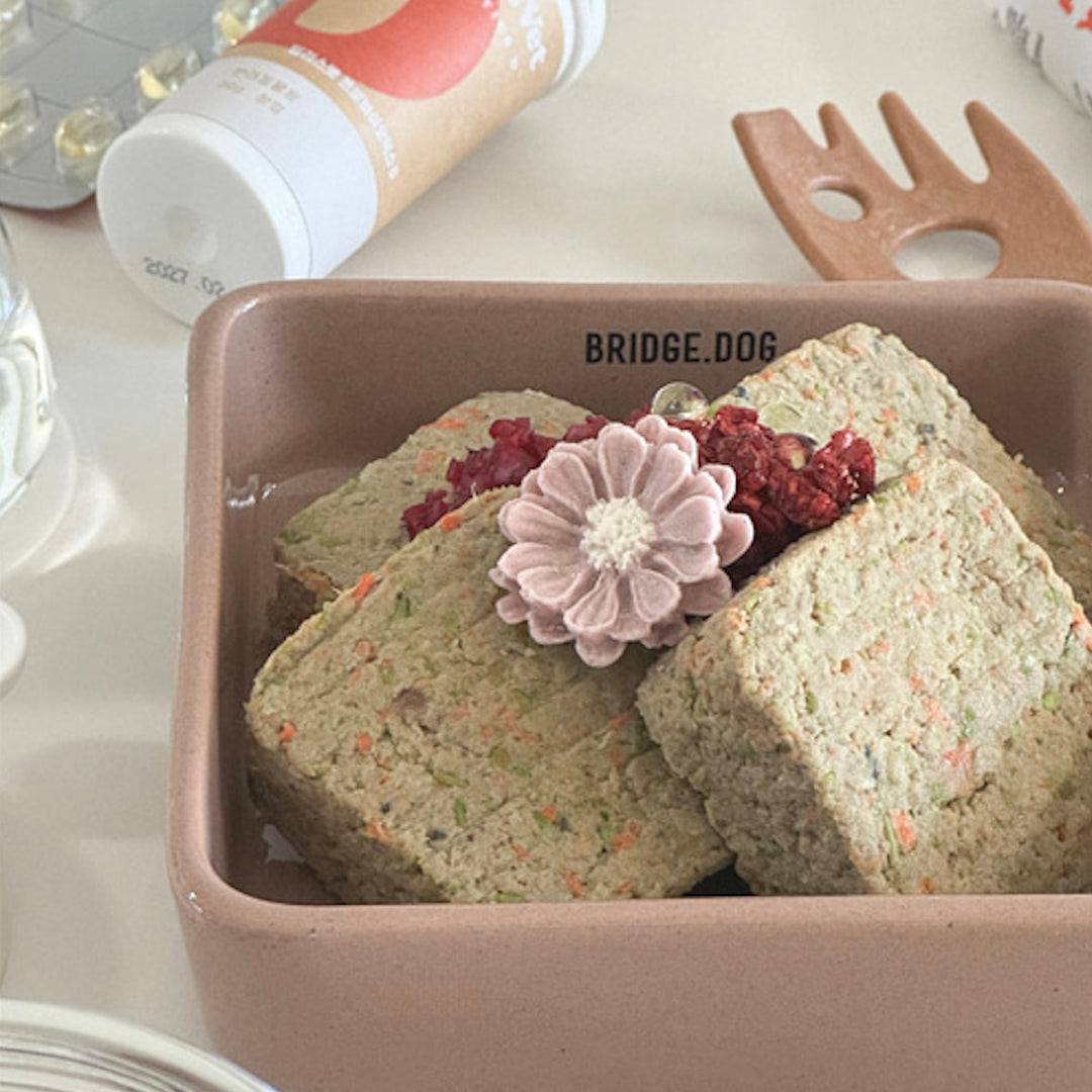 ※予約販売【BRIDGE.DOG】TOY NEMO BOWL（LATTE）