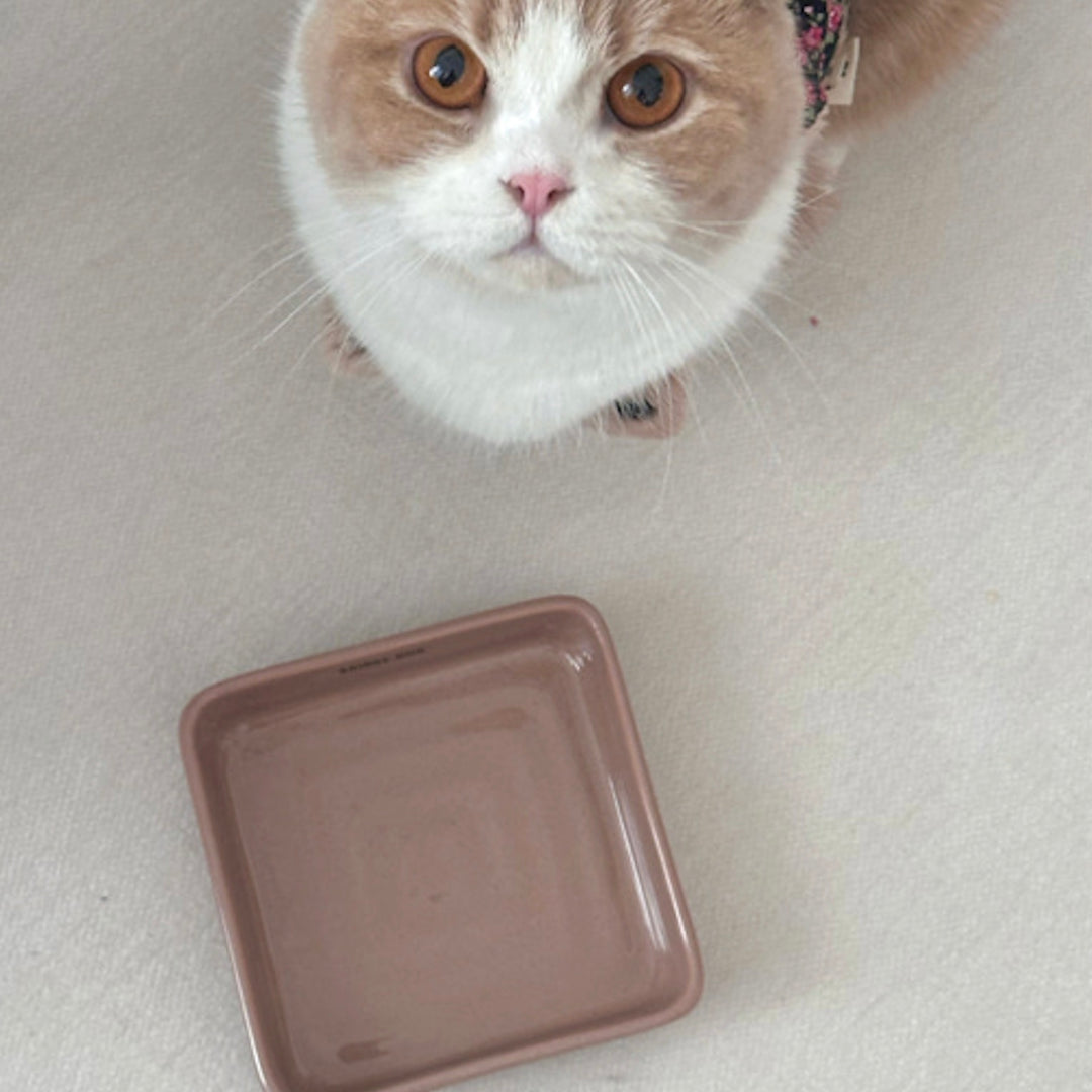 ※予約販売【BRIDGE.DOG】NEMO BOWL（MOCHA）