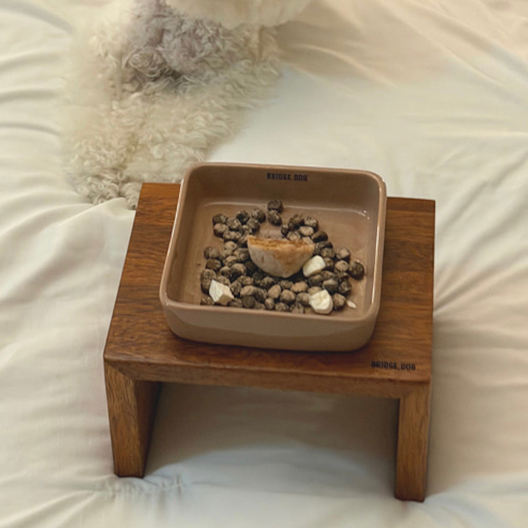 ※予約販売【BRIDGE.DOG】TOY NEMO BOWL（LATTE）