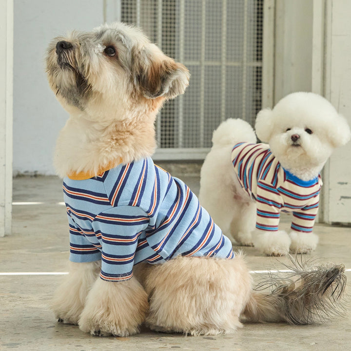 ※予約販売【andblank】A Stitch Stripe Short Sleeve（Blue）