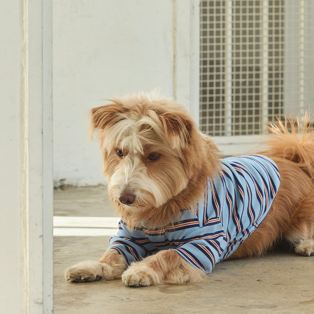 ※予約販売【andblank】A Stitch Stripe Short Sleeve（Blue）