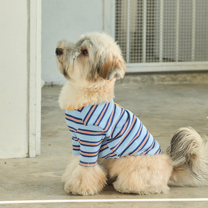 ※予約販売【andblank】A Stitch Stripe Short Sleeve（Blue）