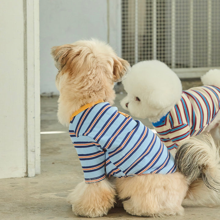 ※予約販売【andblank】A Stitch Stripe Short Sleeve（Blue）