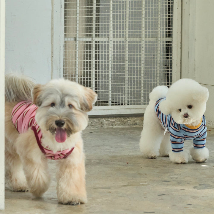 ※予約販売【andblank】A Stitch Stripe Short Sleeve（Blue）