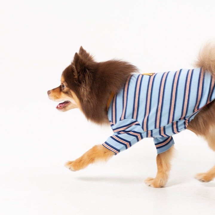 ※予約販売【andblank】A Stitch Stripe Short Sleeve（Blue）