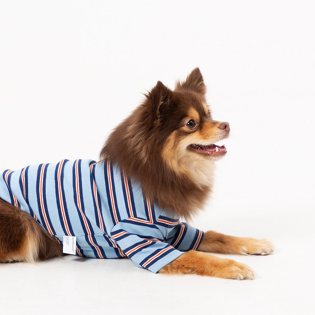 ※予約販売【andblank】A Stitch Stripe Short Sleeve（Blue）