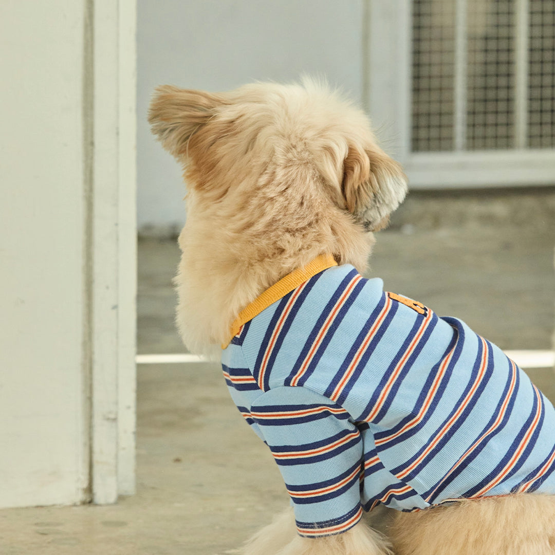 ※予約販売【andblank】A Stitch Stripe Short Sleeve（Blue）