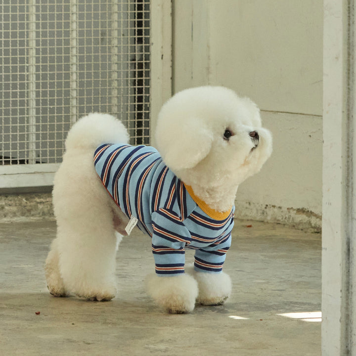 ※予約販売【andblank】A Stitch Stripe Short Sleeve（Blue）