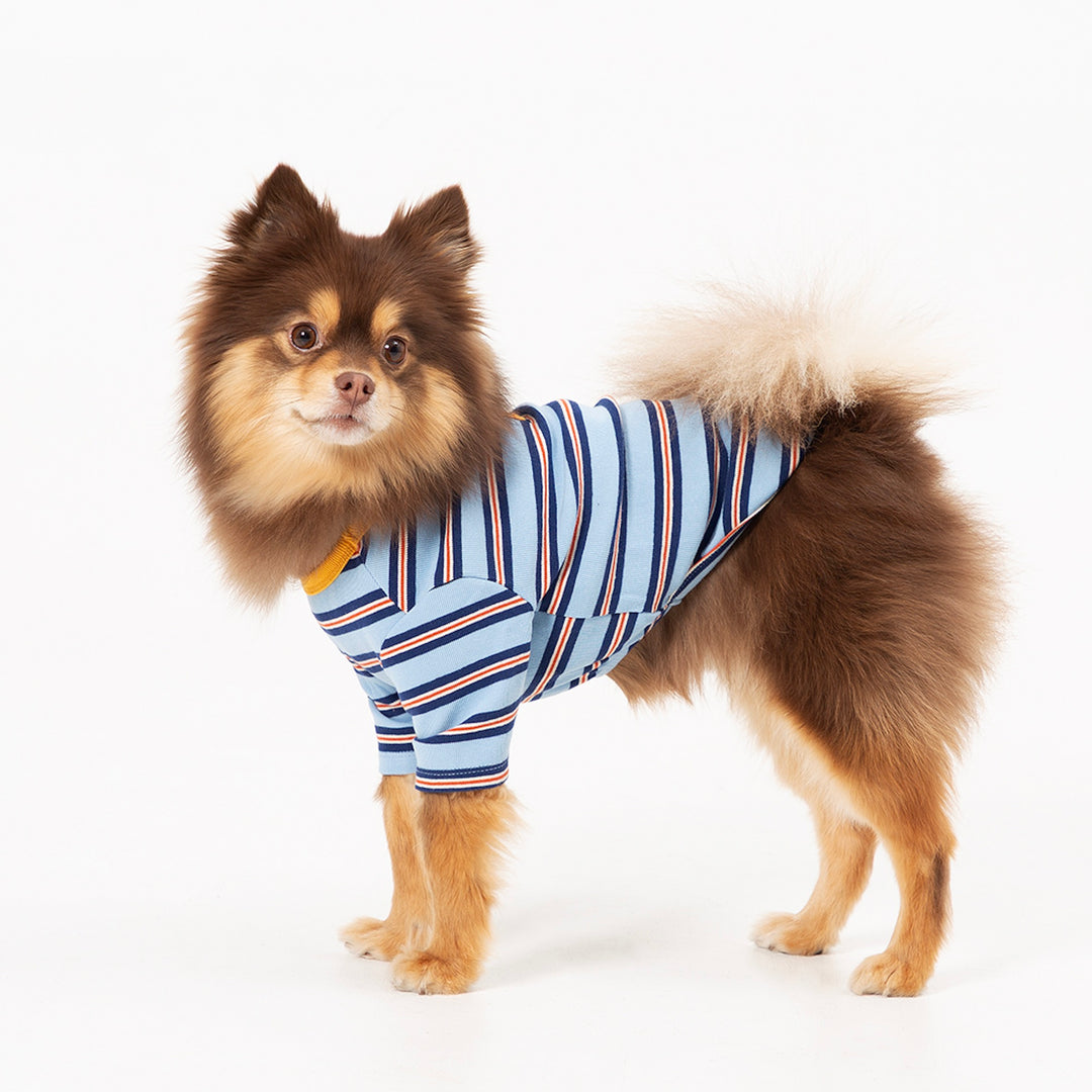 ※予約販売【andblank】A Stitch Stripe Short Sleeve（Blue）