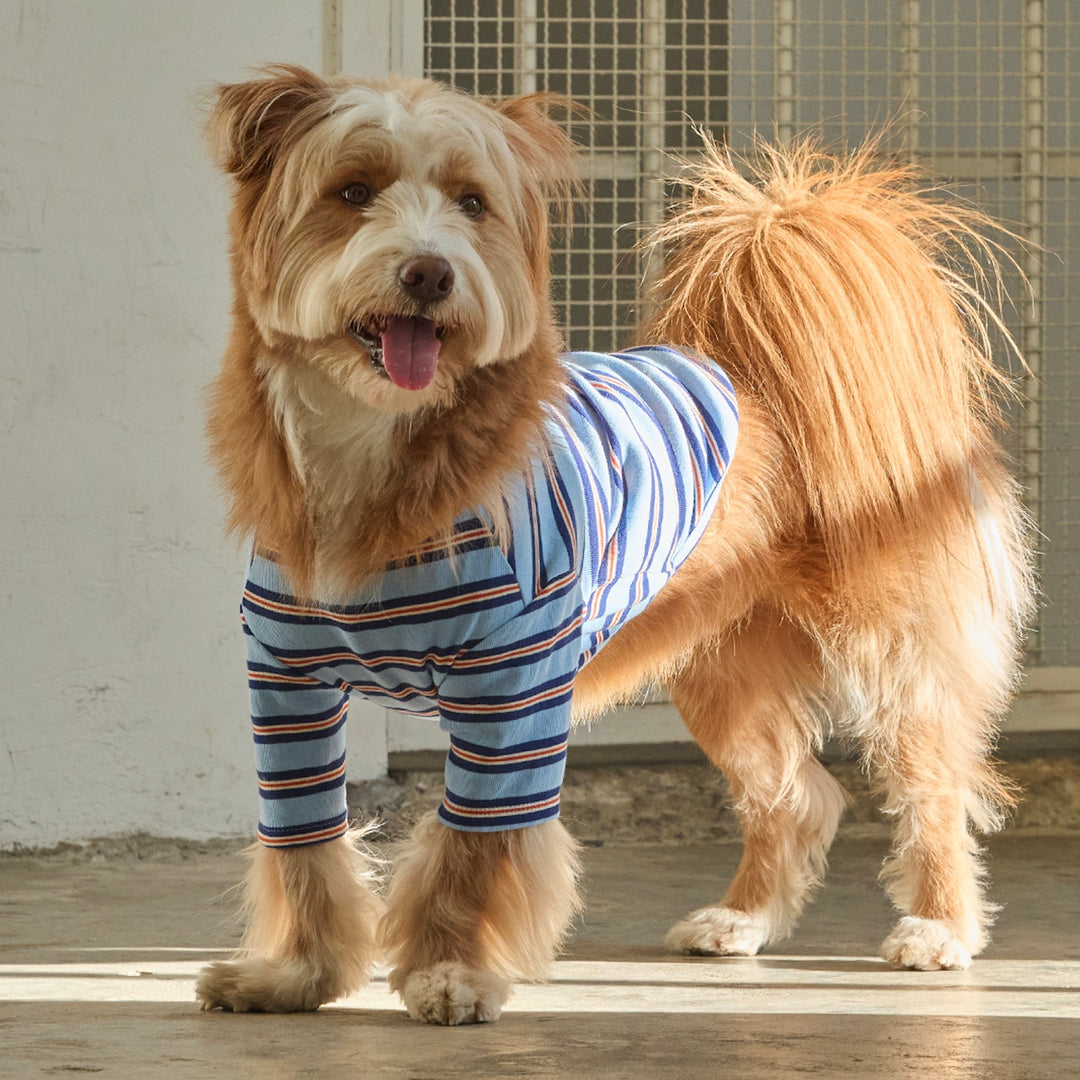 ※予約販売【andblank】A Stitch Stripe Short Sleeve（Blue）