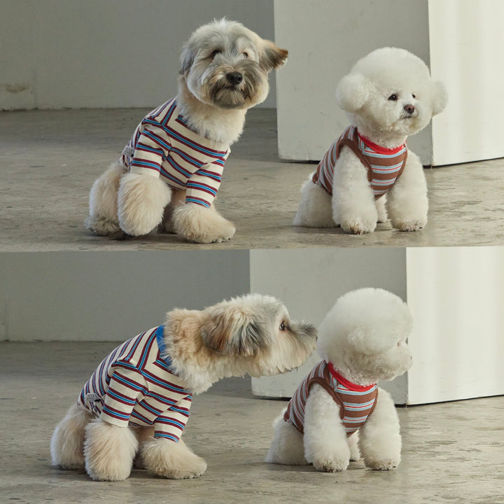 ※予約販売【andblank】A Stitch Stripe Short Sleeve（Ivory）