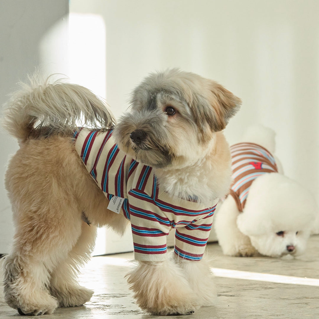 ※予約販売【andblank】A Stitch Stripe Short Sleeve（Ivory）