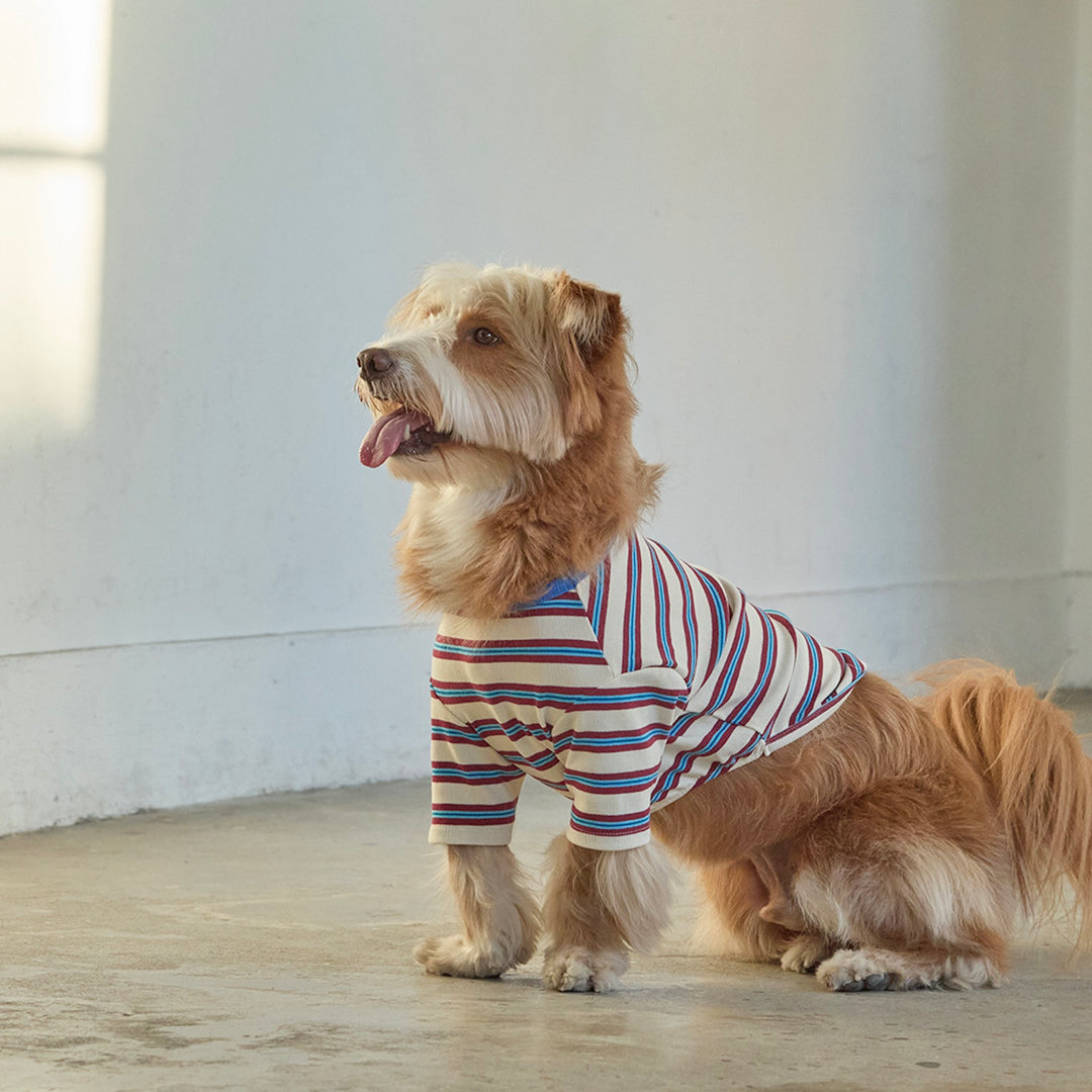 ※予約販売【andblank】A Stitch Stripe Short Sleeve（Ivory）