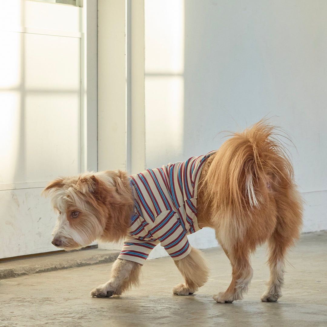 ※予約販売【andblank】A Stitch Stripe Short Sleeve（Ivory）