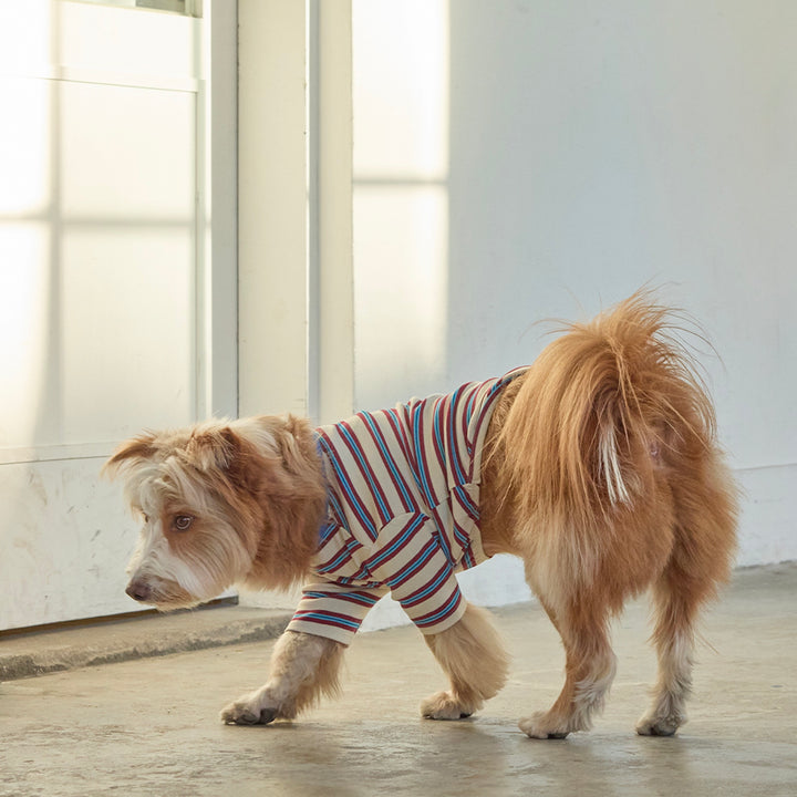 ※予約販売【andblank】A Stitch Stripe Short Sleeve（Ivory）