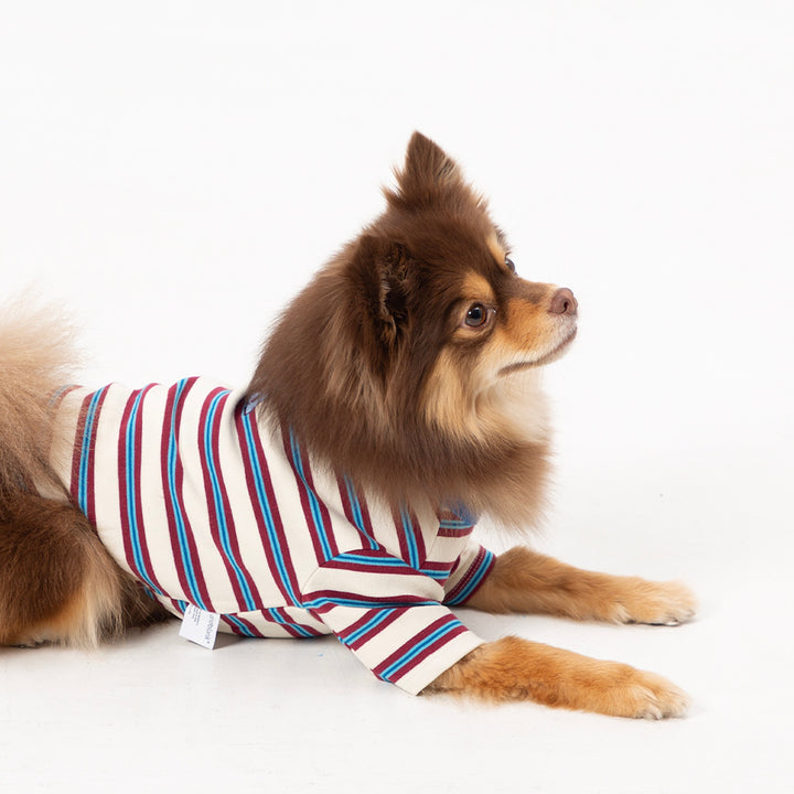 ※予約販売【andblank】A Stitch Stripe Short Sleeve（Ivory）