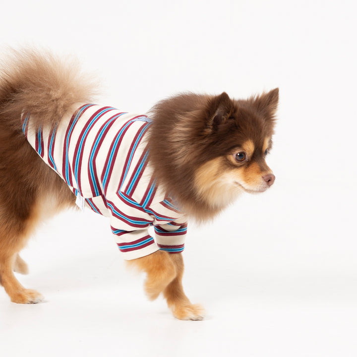 ※予約販売【andblank】A Stitch Stripe Short Sleeve（Ivory）