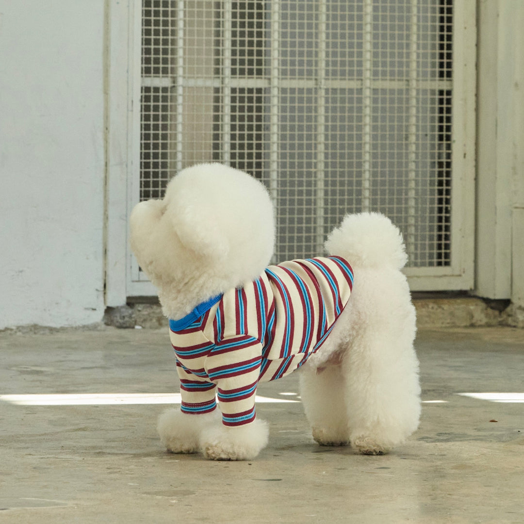 ※予約販売【andblank】A Stitch Stripe Short Sleeve（Ivory）