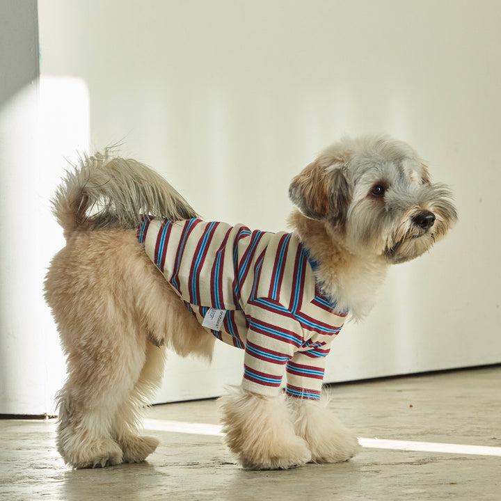 ※予約販売【andblank】A Stitch Stripe Short Sleeve（Ivory）