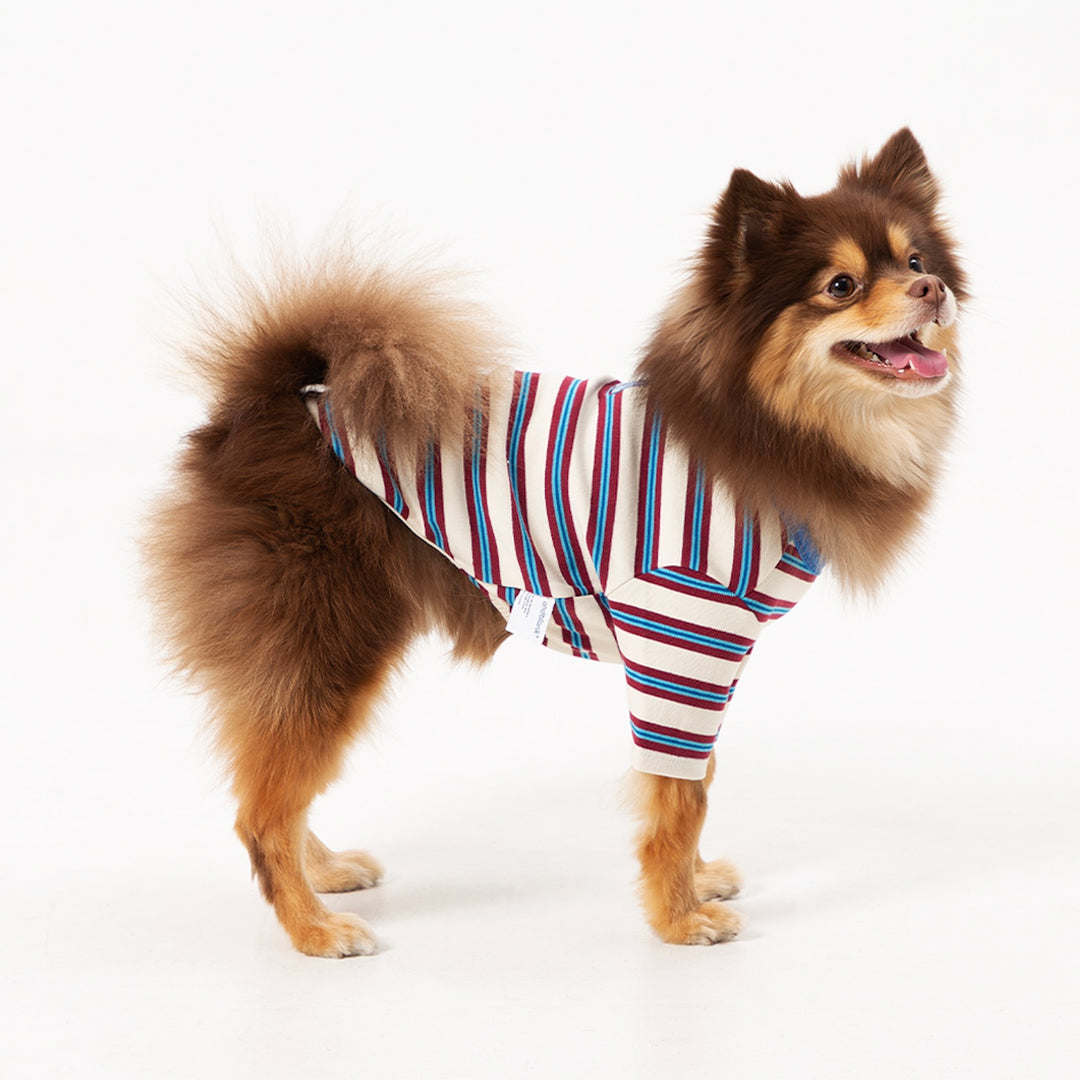 ※予約販売【andblank】A Stitch Stripe Short Sleeve（Ivory）