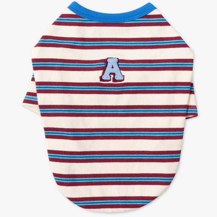 ※予約販売【andblank】A Stitch Stripe Short Sleeve（Ivory）