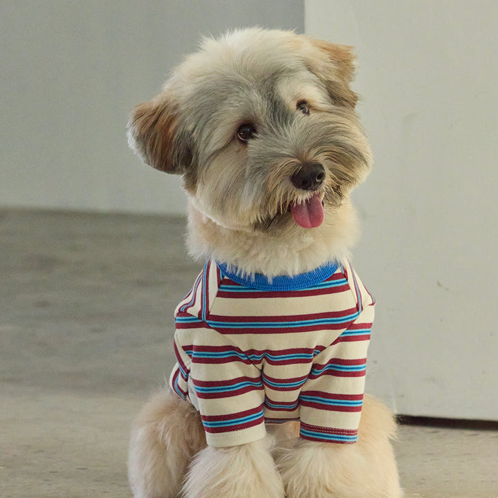 ※予約販売【andblank】A Stitch Stripe Short Sleeve（Ivory）