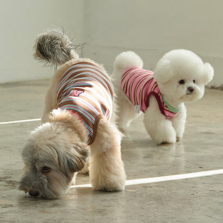 ※予約販売【andblank】A Stitch Stripe Sleeveless（Brown）