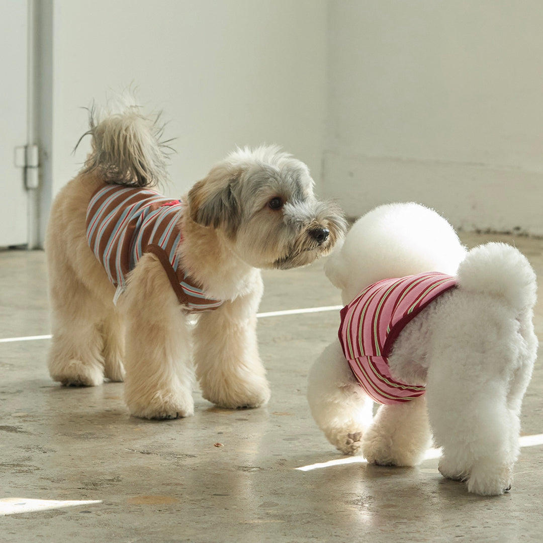 ※予約販売【andblank】A Stitch Stripe Sleeveless（Brown）