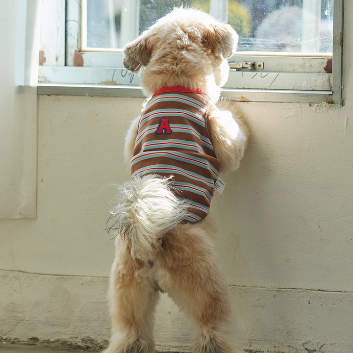 ※予約販売【andblank】A Stitch Stripe Sleeveless（Brown）