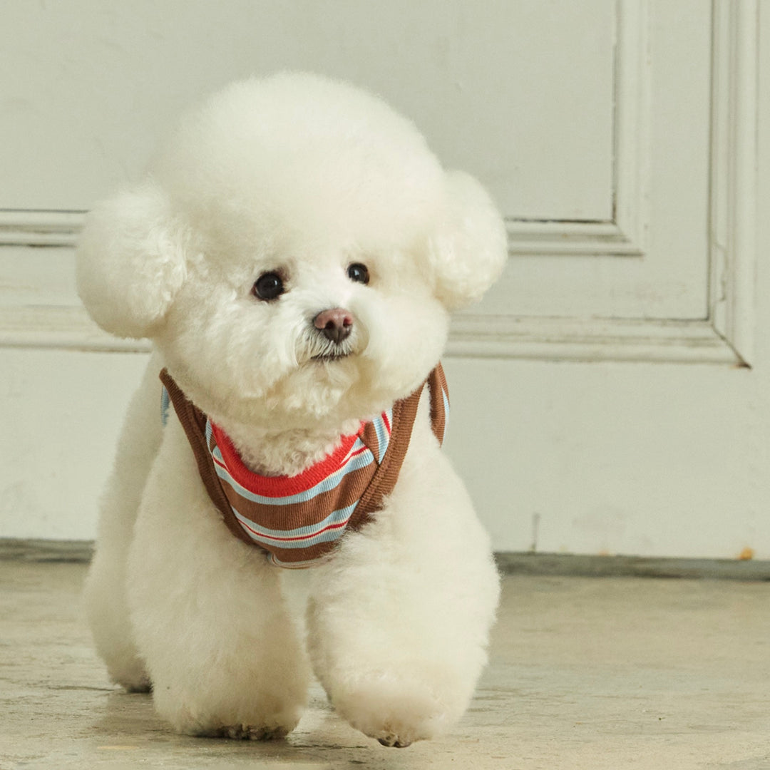 ※予約販売【andblank】A Stitch Stripe Sleeveless（Brown）