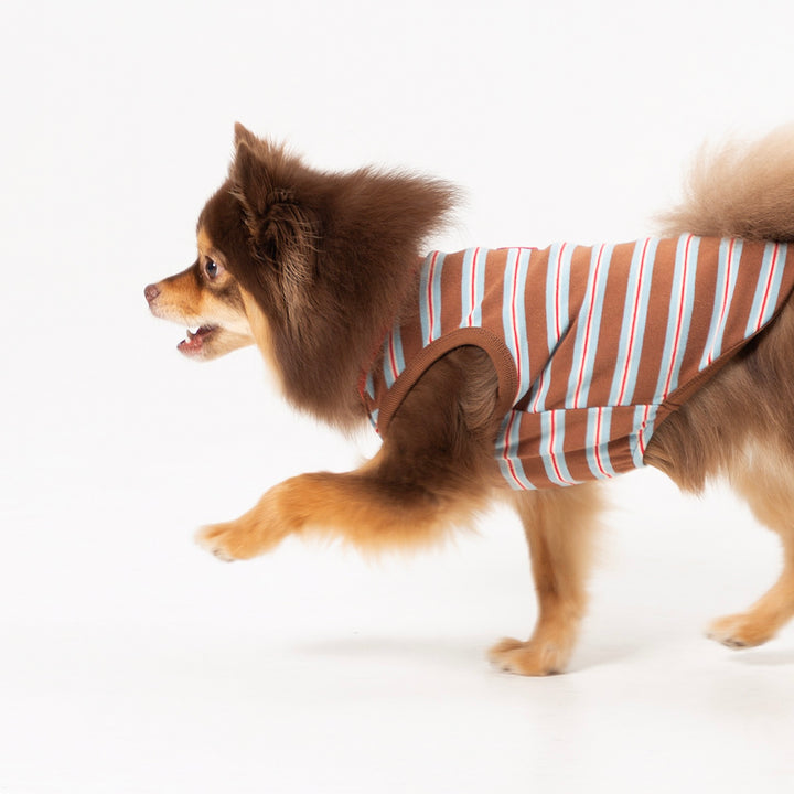 ※予約販売【andblank】A Stitch Stripe Sleeveless（Brown）