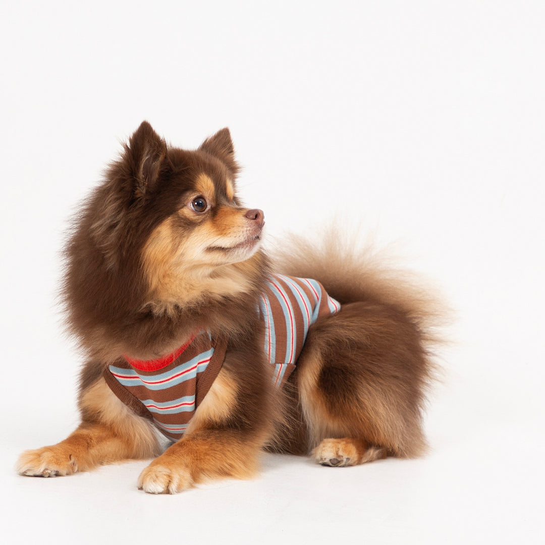 ※予約販売【andblank】A Stitch Stripe Sleeveless（Brown）