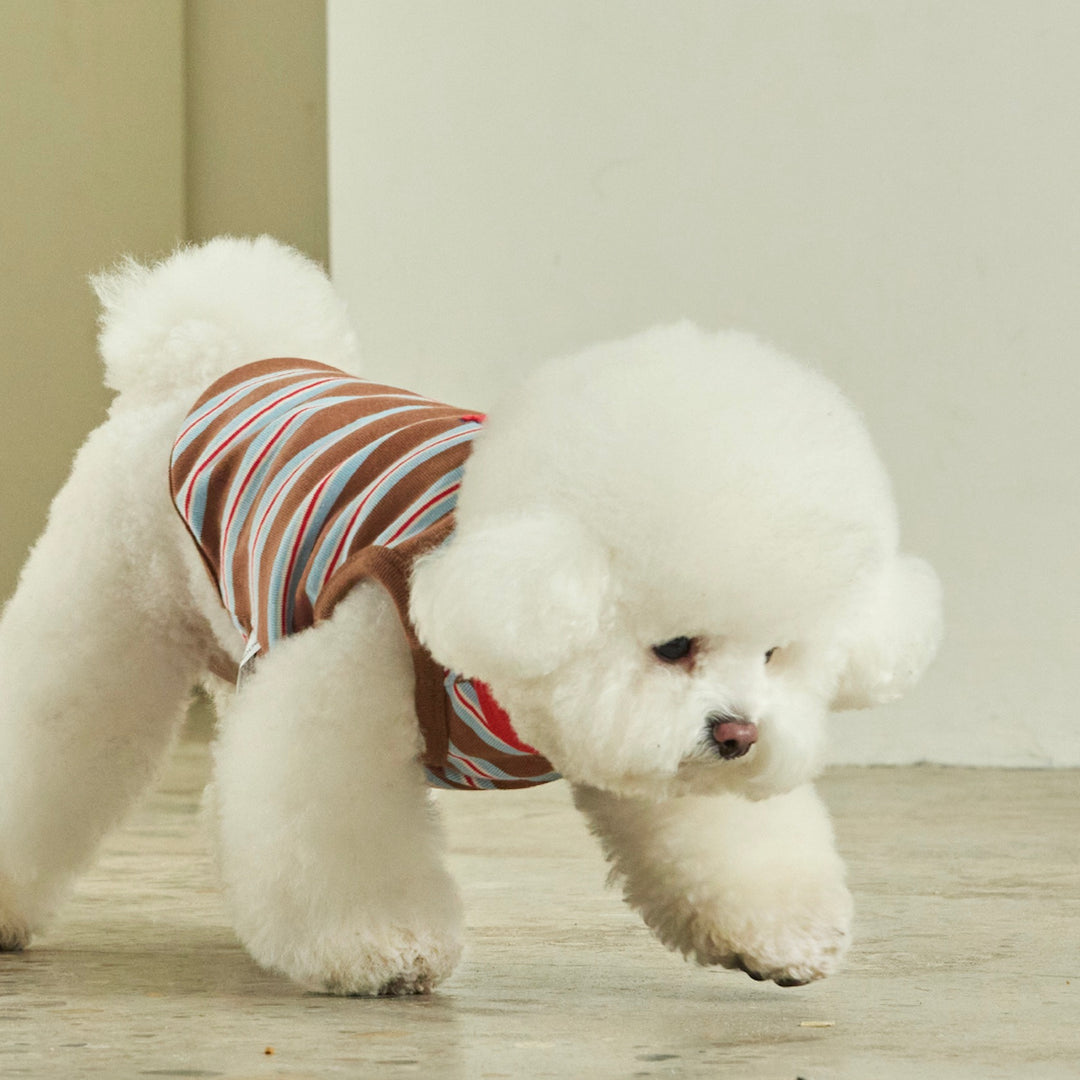 ※予約販売【andblank】A Stitch Stripe Sleeveless（Brown）