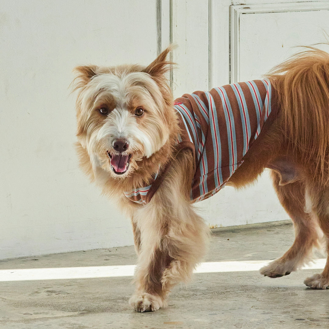 ※予約販売【andblank】A Stitch Stripe Sleeveless（Brown）