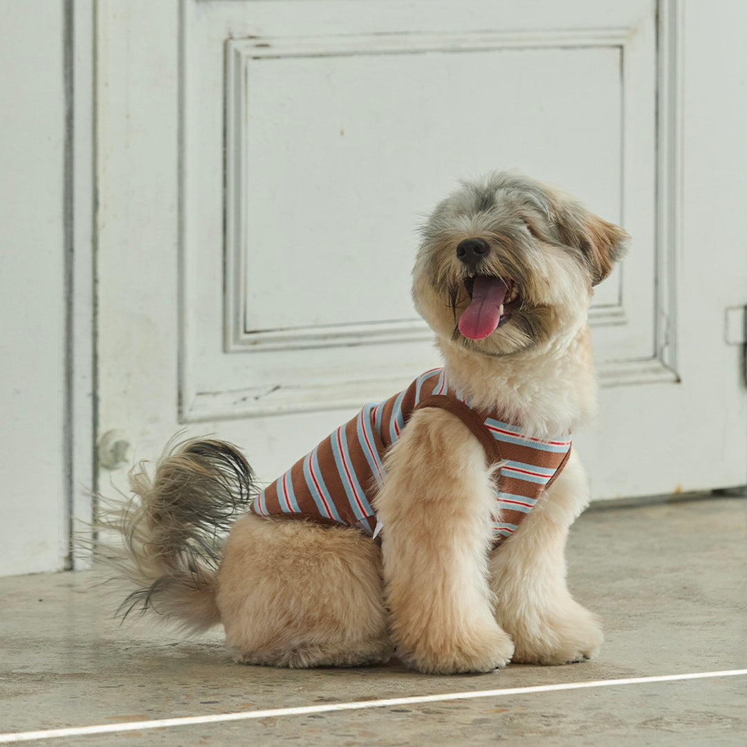 ※予約販売【andblank】A Stitch Stripe Sleeveless（Brown）