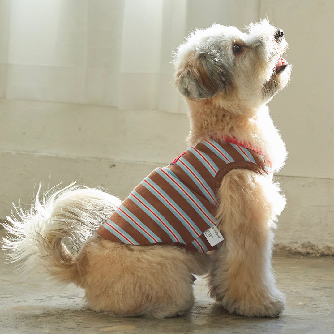 ※予約販売【andblank】A Stitch Stripe Sleeveless（Brown）