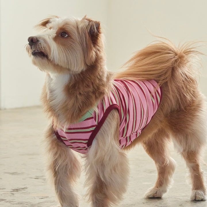 ※予約販売【andblank】A Stitch Stripe Sleeveless（Pink）