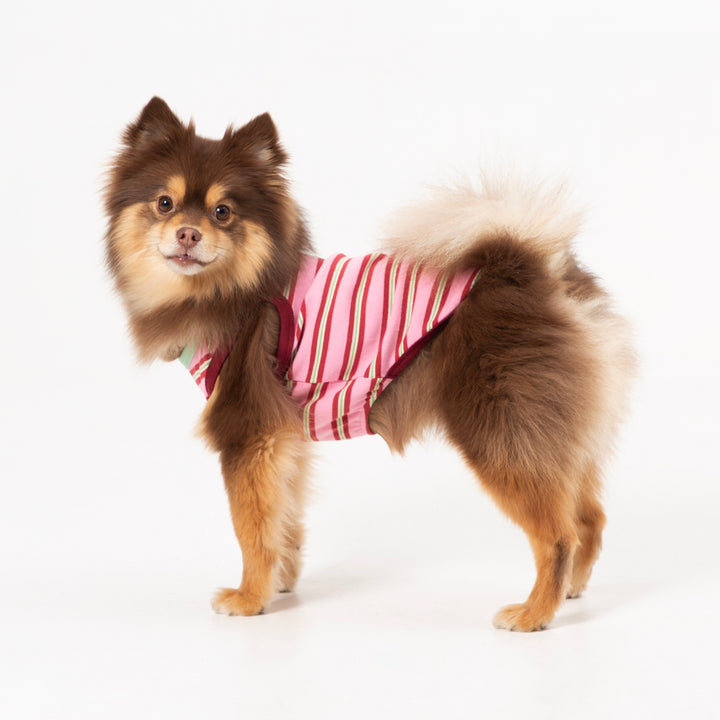 ※予約販売【andblank】A Stitch Stripe Sleeveless（Pink）