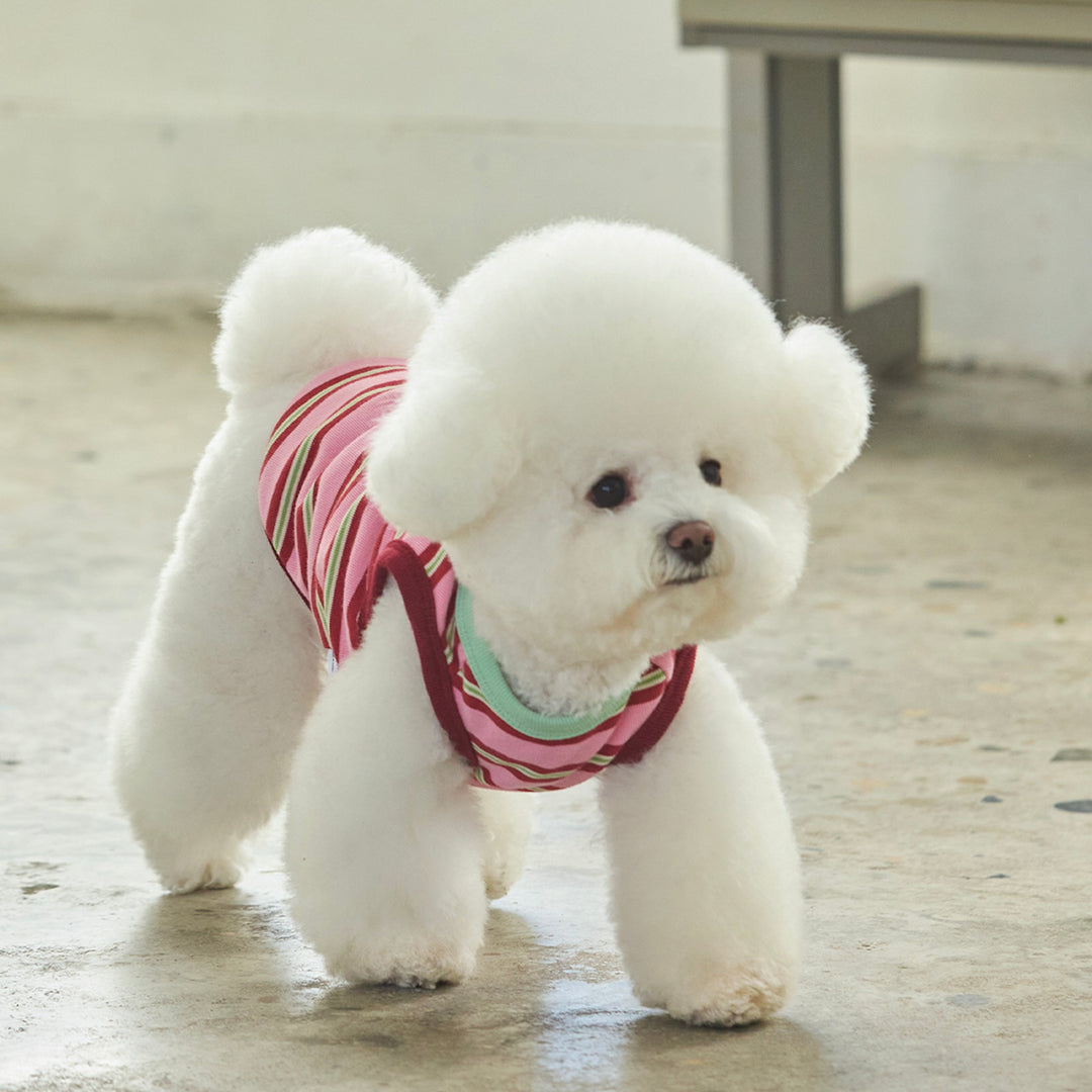 ※予約販売【andblank】A Stitch Stripe Sleeveless（Pink）