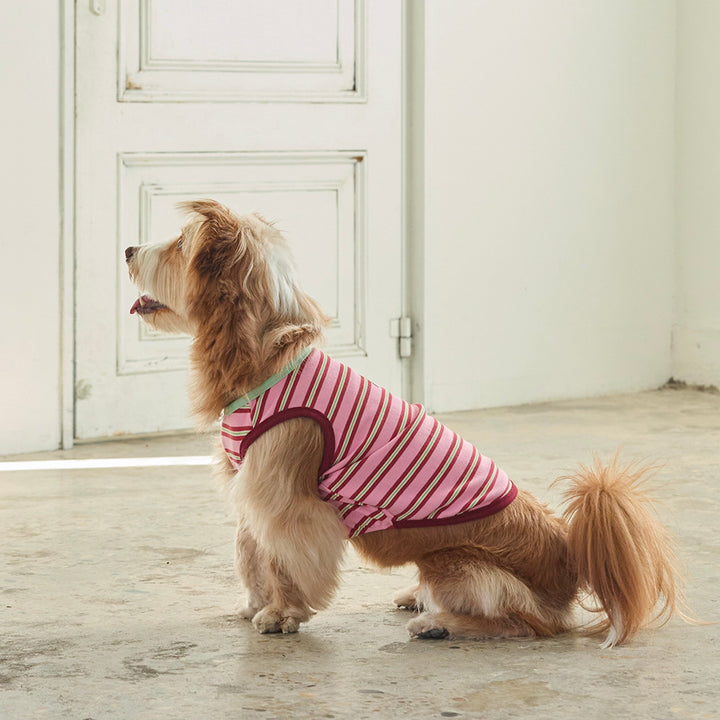 ※予約販売【andblank】A Stitch Stripe Sleeveless（Pink）