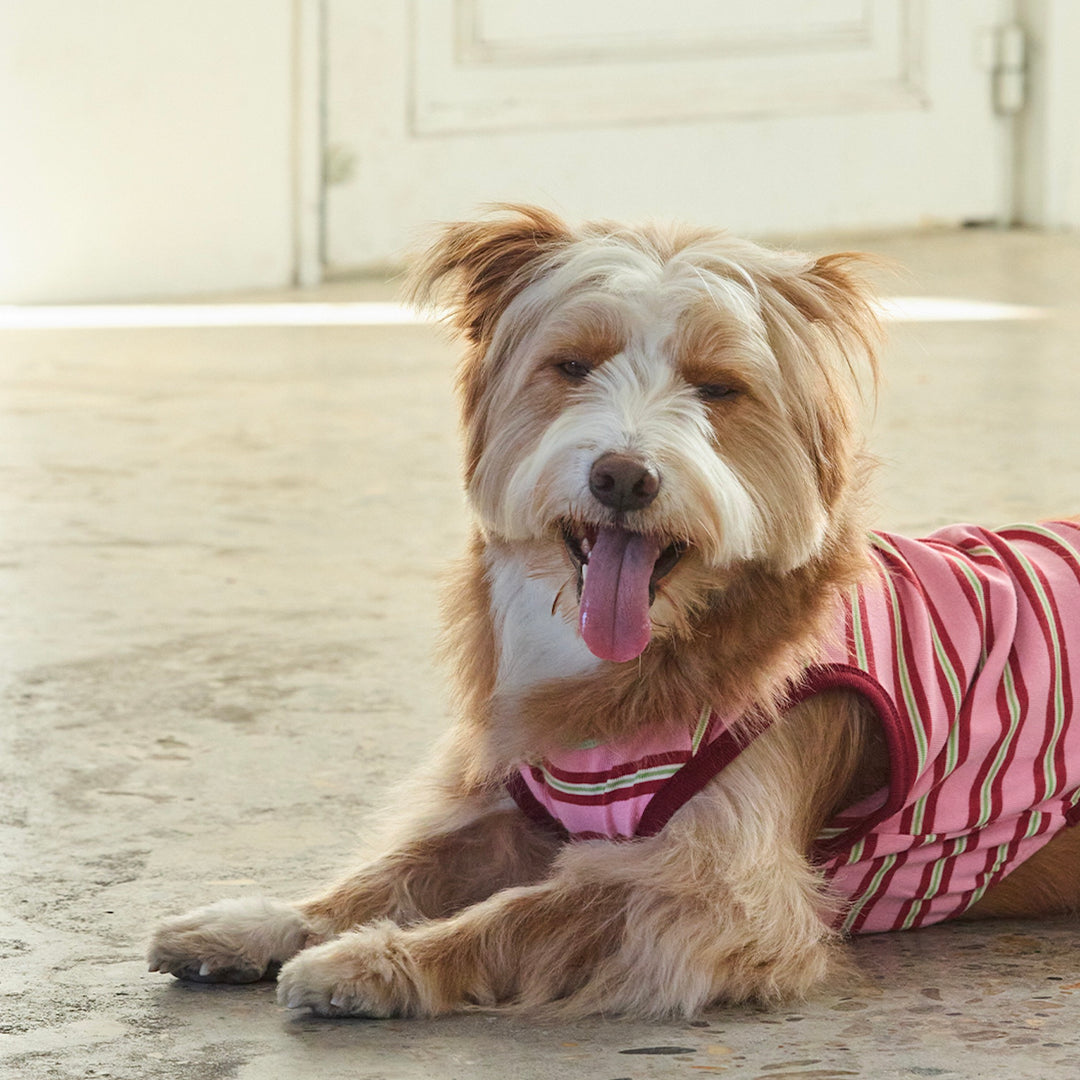 ※予約販売【andblank】A Stitch Stripe Sleeveless（Pink）