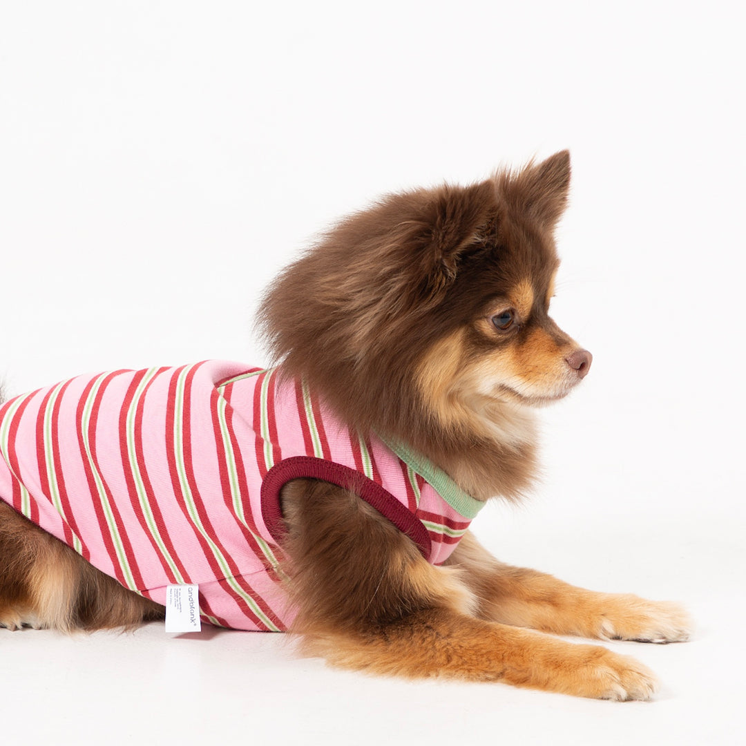 ※予約販売【andblank】A Stitch Stripe Sleeveless（Pink）