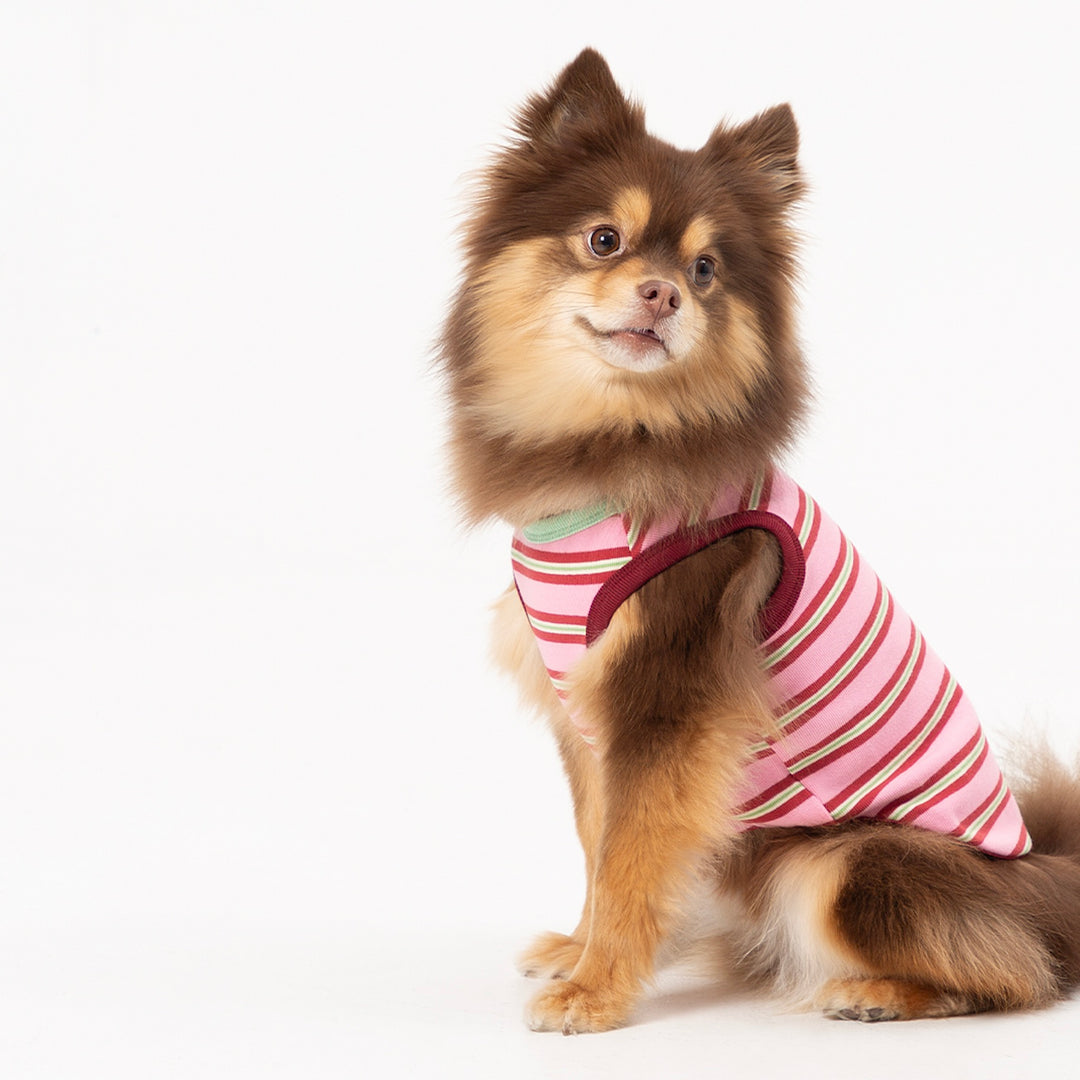 ※予約販売【andblank】A Stitch Stripe Sleeveless（Pink）