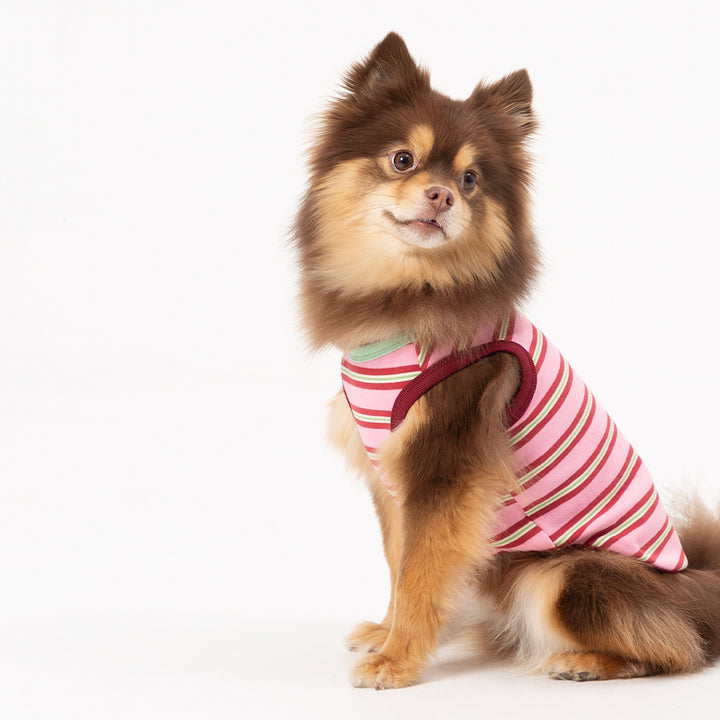 ※予約販売【andblank】A Stitch Stripe Sleeveless（Pink）