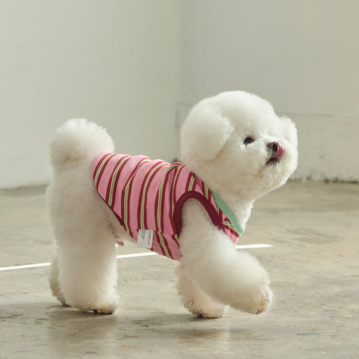 ※予約販売【andblank】A Stitch Stripe Sleeveless（Pink）