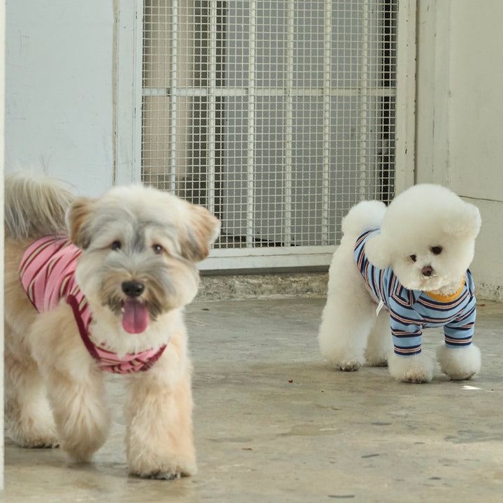 ※予約販売【andblank】A Stitch Stripe Sleeveless（Pink）