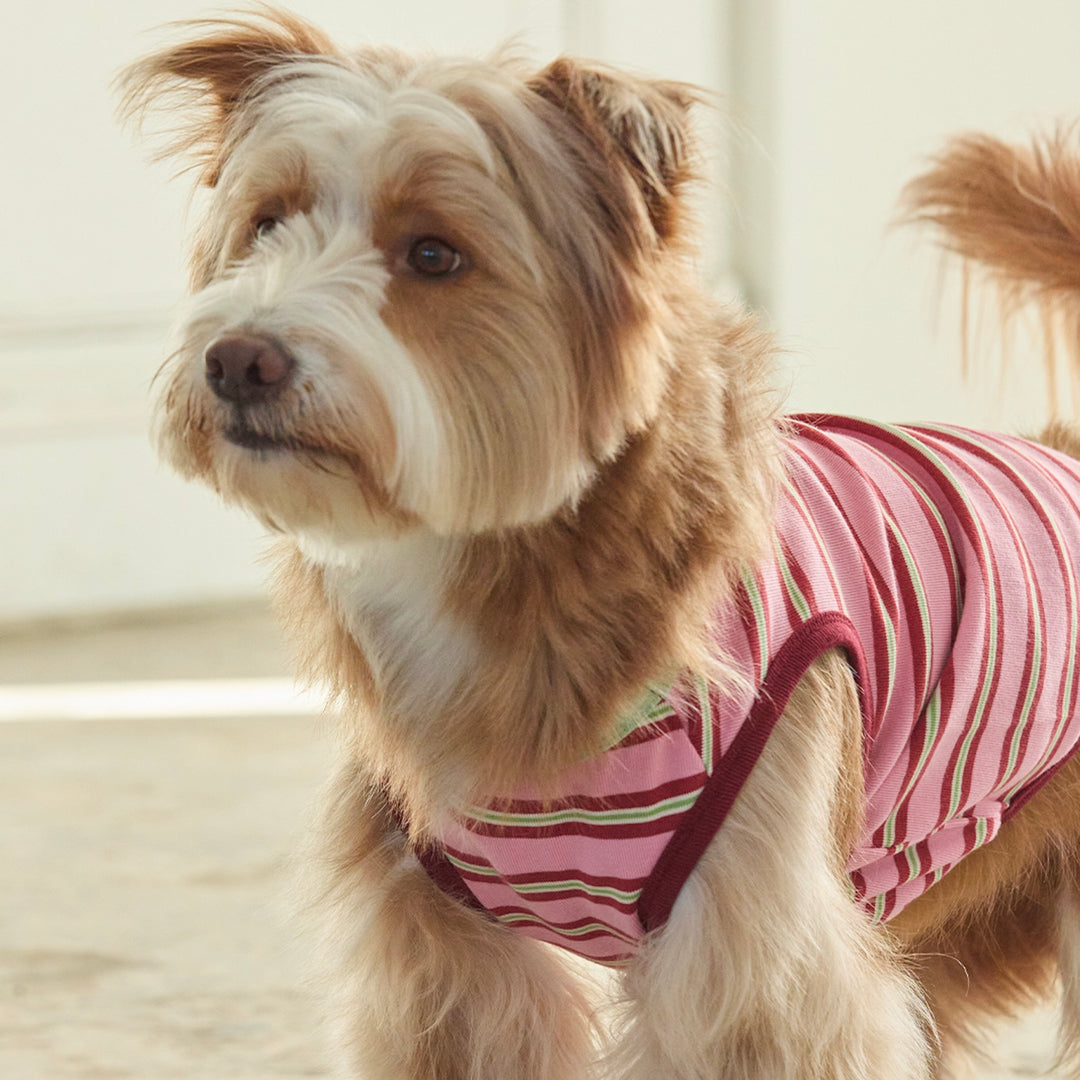 ※予約販売【andblank】A Stitch Stripe Sleeveless（Pink）