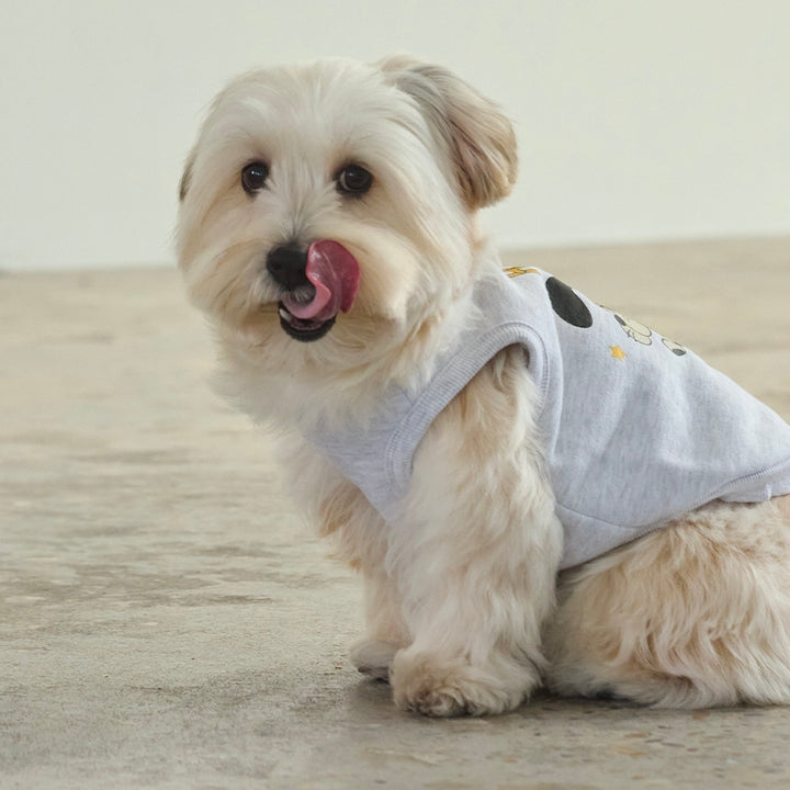 ※予約販売【andblank】Howdy Sleeveless Sweatshirt