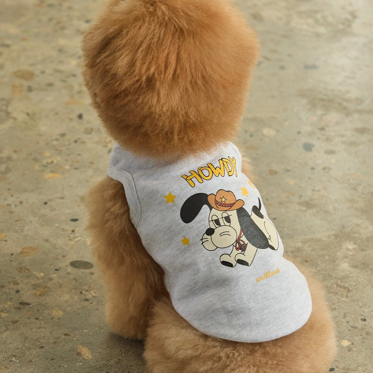 ※予約販売【andblank】Howdy Sleeveless Sweatshirt