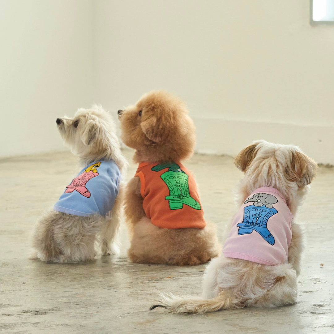 ※予約販売【andblank】Jelly Phant Western Sleeveless（Pink）